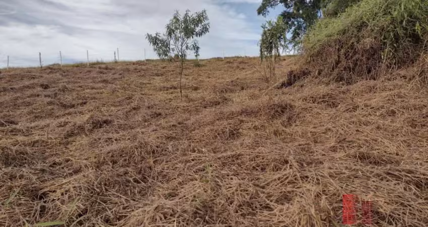 Terreno à venda na Rua Doutor Fernando Jorge Fagundes Neto, 81, Grama, Juiz de Fora