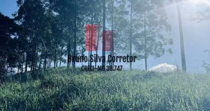 Terreno à venda na Fazendinhas Triqueda, 5, Fazenda Triqueda, Coronel Pacheco