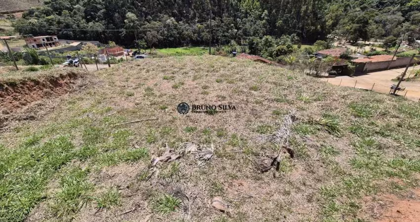 Terreno à venda na ALTO TRIQUEDA, 2, Fazenda Triqueda, Coronel Pacheco
