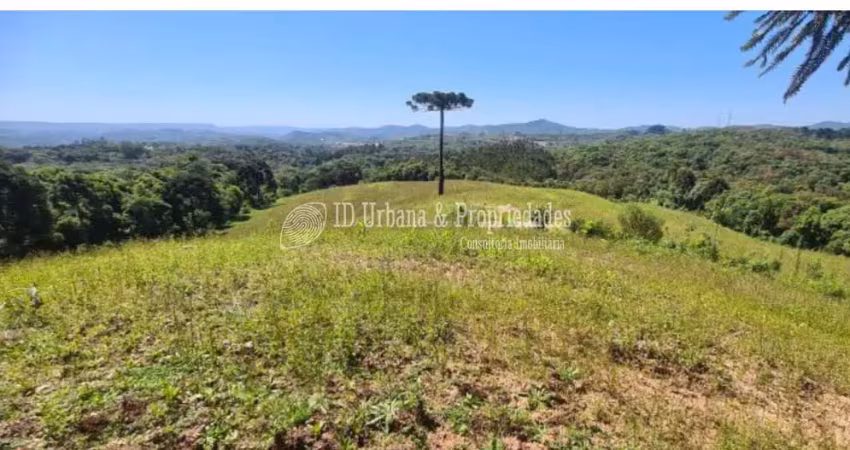 Chácara à venda no bairro itaqui de cima em campo largo/pr