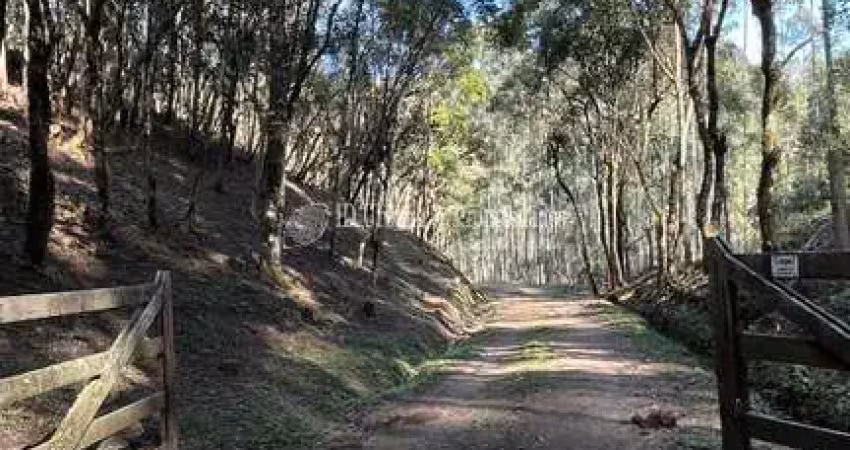 Chacara com 169.390 m²,  à venda no bairro saltinho.