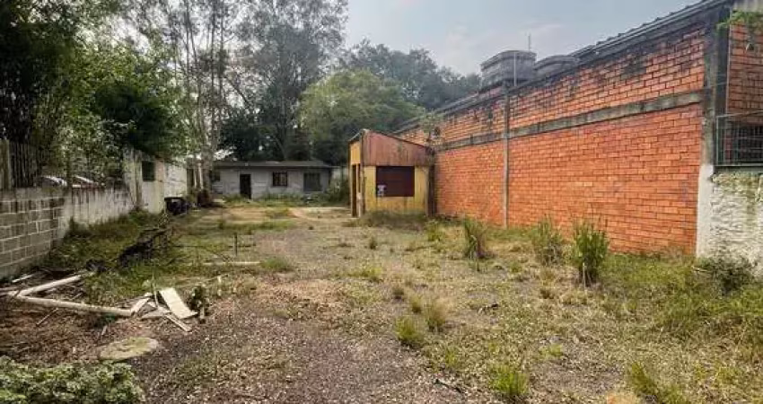 Terreno comercial para alugar na Avenida Juca Batista, 320, Cavalhada, Porto Alegre