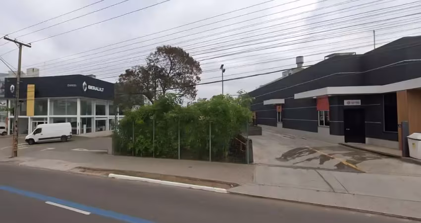 Terreno comercial para alugar na Avenida da Cavalhada, 2019, Cavalhada, Porto Alegre