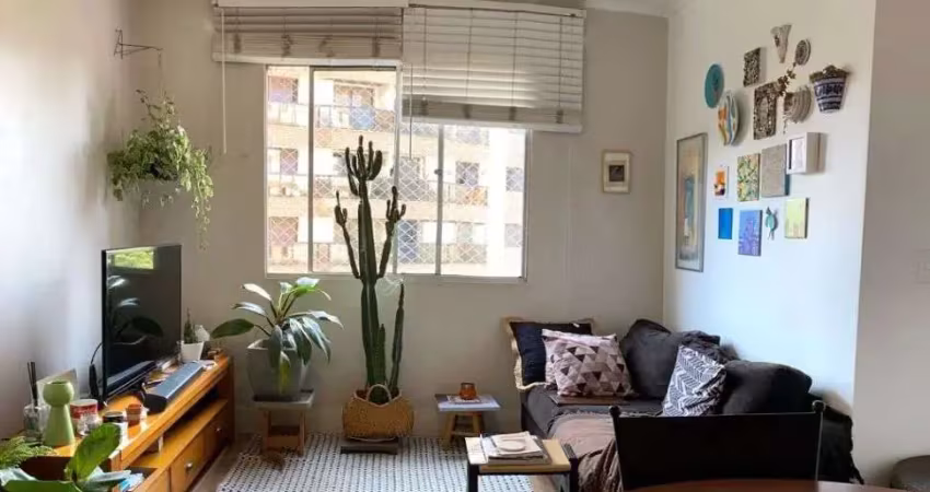 Imperdível: apartamento à venda na vila mariana, sp, com 3 quartos, 2 salas, 2 banheiros e 67m² de área privativa!