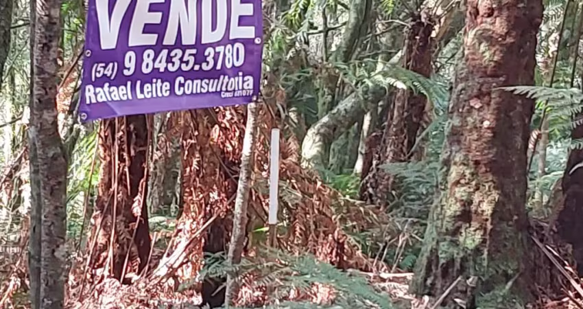 Excelente terreno c/ 413m2 de esquina para quem quer investir não tenha pressa pra construir !!!