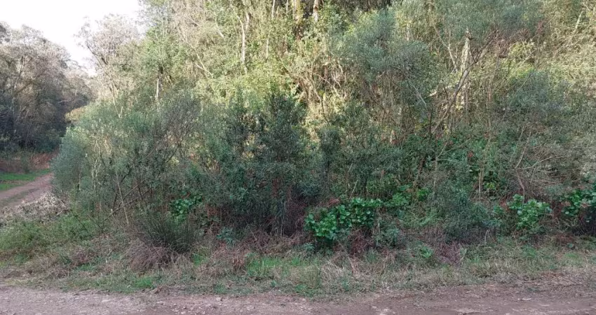 Excelente terreno c/ 413m2 de esquina para quem quer investir não tenha pressa pra construir !!!