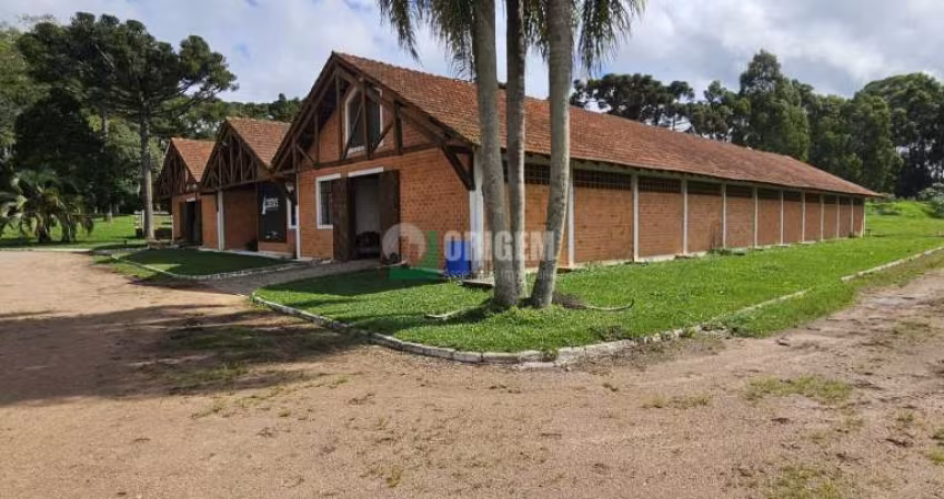 Haras em Planta Guarituba Pequena - Piraquara, PR