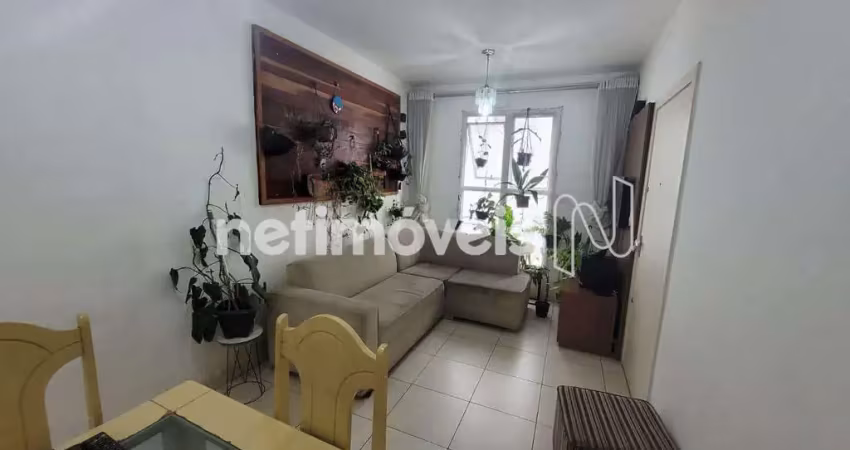 Apartamento com 3 quartos à venda no Niterói, Betim 