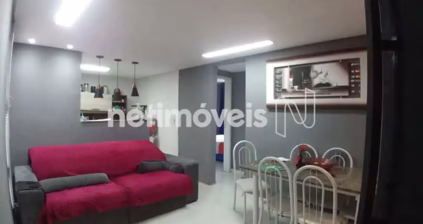 Apartamento com 2 quartos à venda na Rua Pau Brasil, Vila das Flores, Betim
