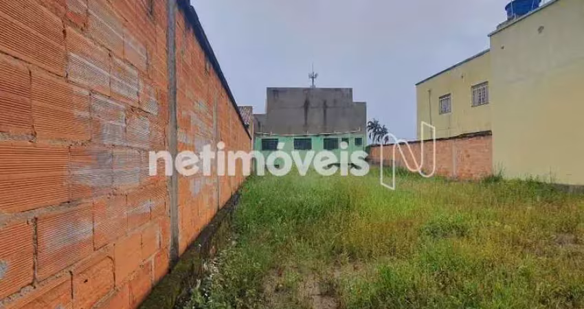 Terreno comercial para alugar na Rua São Sebastião do Paraiso, Vila Cristina, Betim