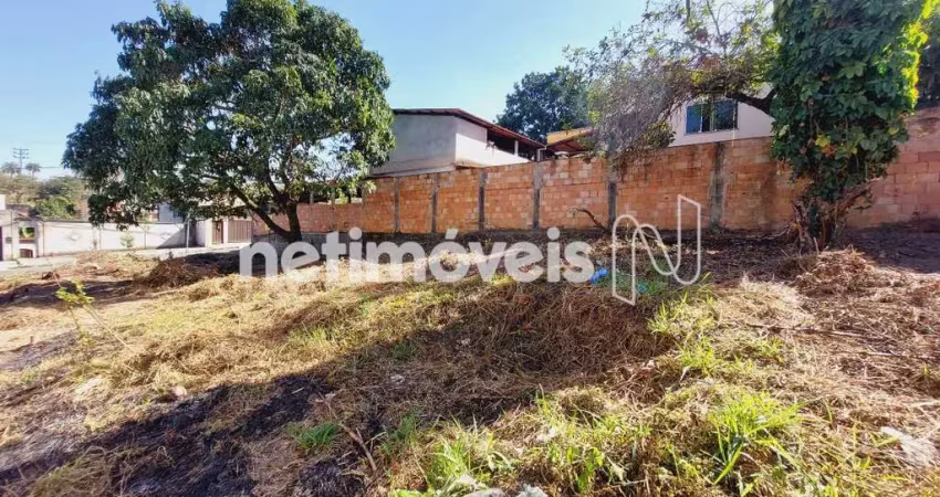 Terreno comercial para alugar na Rua Cortineiras, Campos Elíseos, Betim