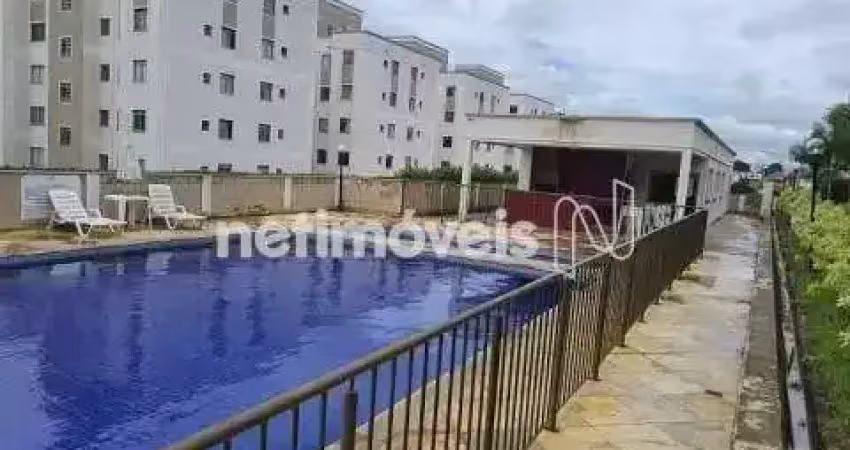 Apartamento com 2 quartos à venda no Laranjeiras, Betim 