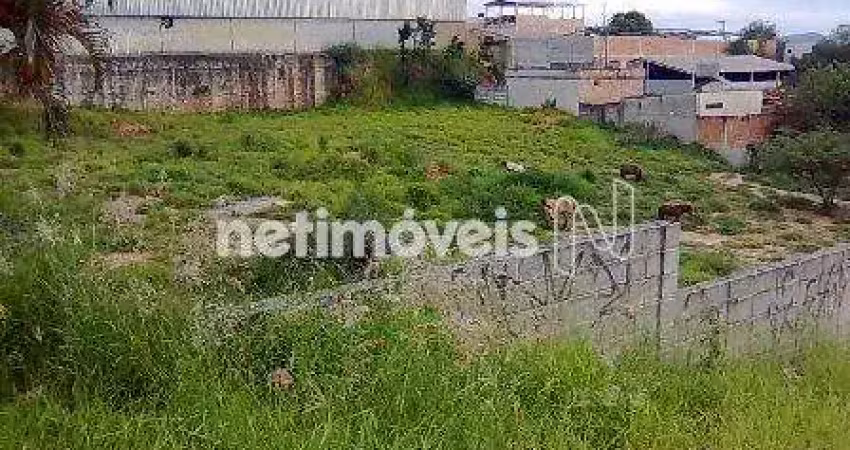 Terreno à venda no Dom Bosco, Betim 