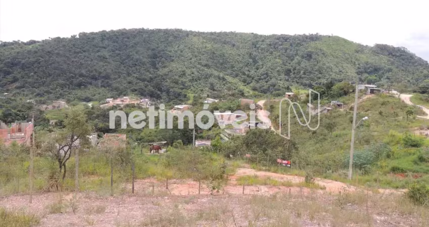 Lote com opção de contrução de casas geminadas, galpão, prédio etc...