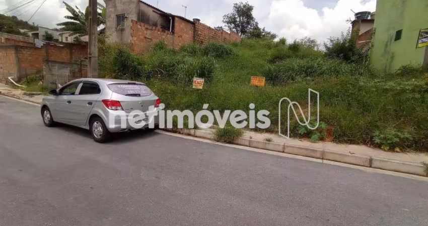 Lote com opção de construção de casas geminadas, galpão...