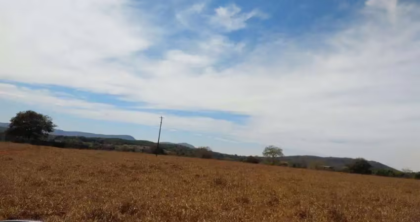 Venda de fazenda em jaraguá: 232 hectares (48 alqueires), dupla aptidão