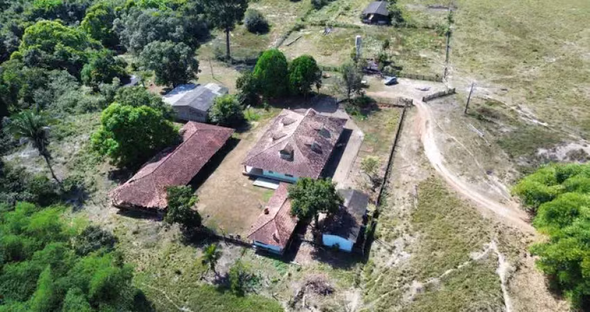 ️ fazenda dos sonhos – 97,203 ha em porto velho-ro natureza exuberante, conforto rústico e localização estratégica. uma propriedade única, com riacho, pasto pronto, casa em madeira de lei mobiliada e 