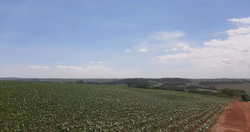 Chácara / sítio à venda na Área Rural de Sarandi, Sarandi 