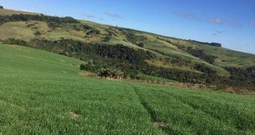 Fazenda para venda em rio branco do ivaí, zona rural