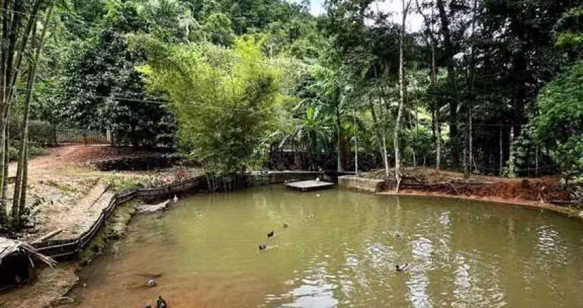 Chácara / sítio com 4 quartos à venda na Praça da Estação, Vale da Estação, Domingos Martins