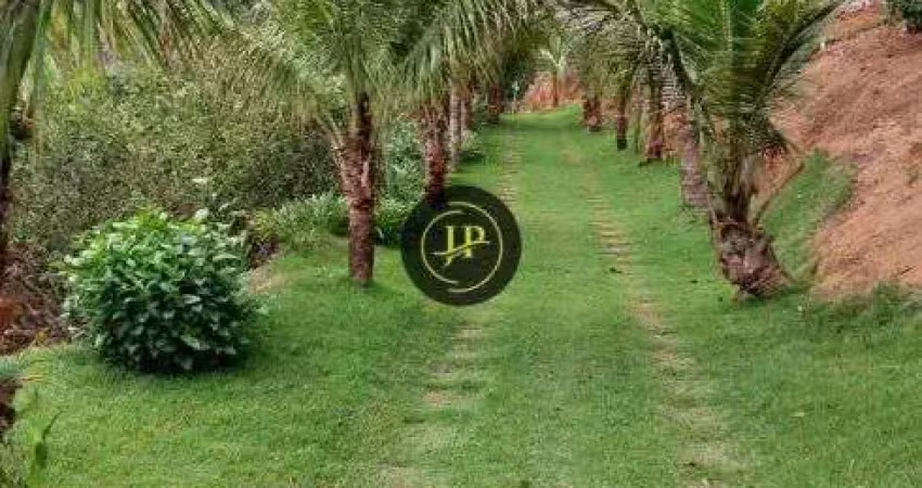 Sitio com 3,5 hectares com plantações em santa leopoldina