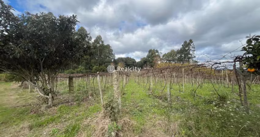 Terreno à venda na Antonio Dal Piva, 23, Tuiuty (Distrito), Bento Gonçalves