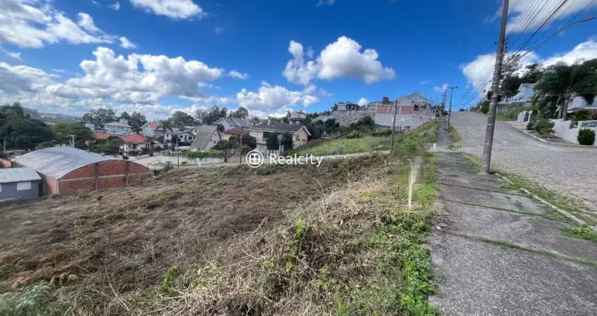 Terreno à venda na Rua Vereador Lucindo João Andreola, 28, Santo Antão, Bento Gonçalves