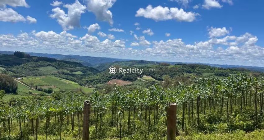 Terreno à venda na Linha Armênio, 401, Centro, Monte Belo do Sul