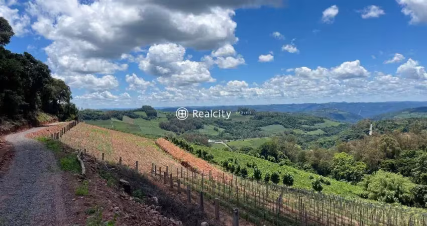 Terreno à venda na Linha Armênio, 400, Centro, Monte Belo do Sul