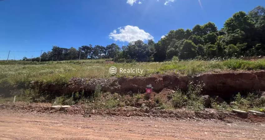 Terreno à venda na Joaquim Toniollo, 12, Caminho da Eulália, Bento Gonçalves
