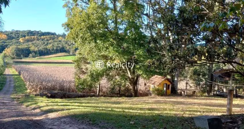 Terreno à venda na Estrada 40, 1, Vale dos Vinhedos (Distrito), Bento Gonçalves