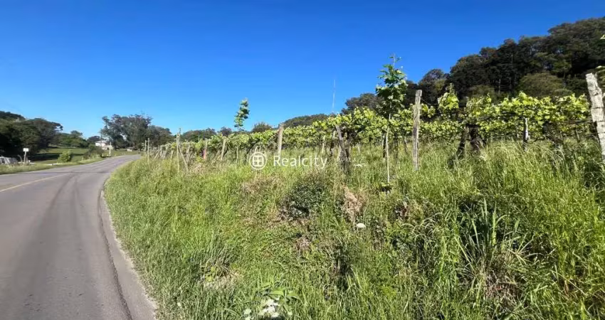 Terreno à venda na Carlos Dreher Neto, 1, Salgado, Bento Gonçalves