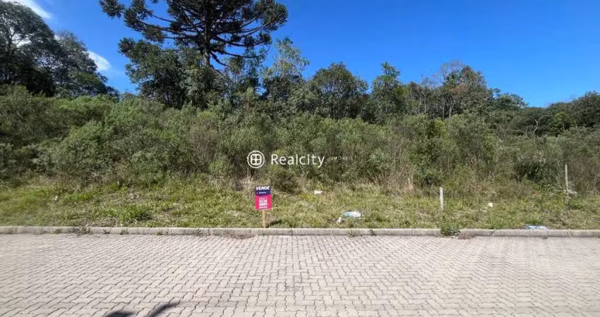 Terreno à venda na Bruno Bottega, 41, Santo Antão, Bento Gonçalves