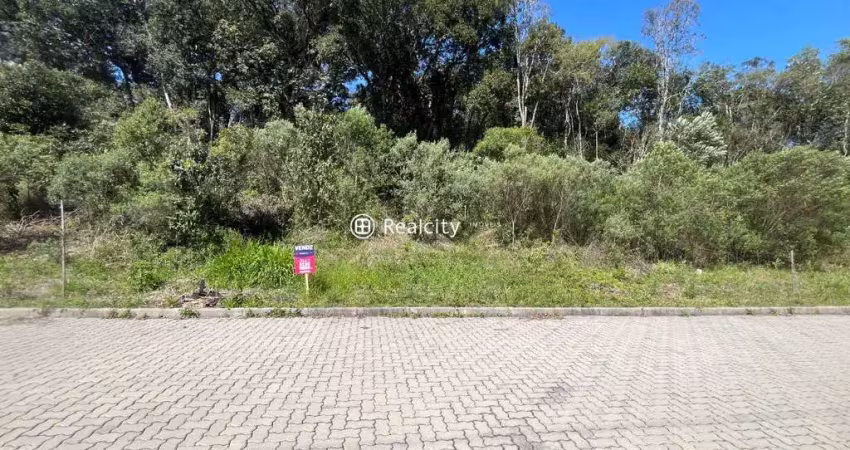 Terreno à venda na Bruno Bottega, 41, Santo Antão, Bento Gonçalves