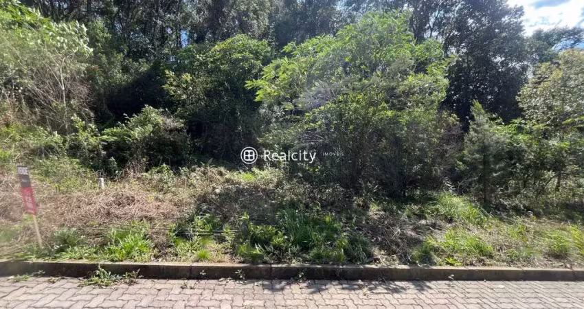 Terreno à venda na Bruno Bottega, 41, Santo Antão, Bento Gonçalves