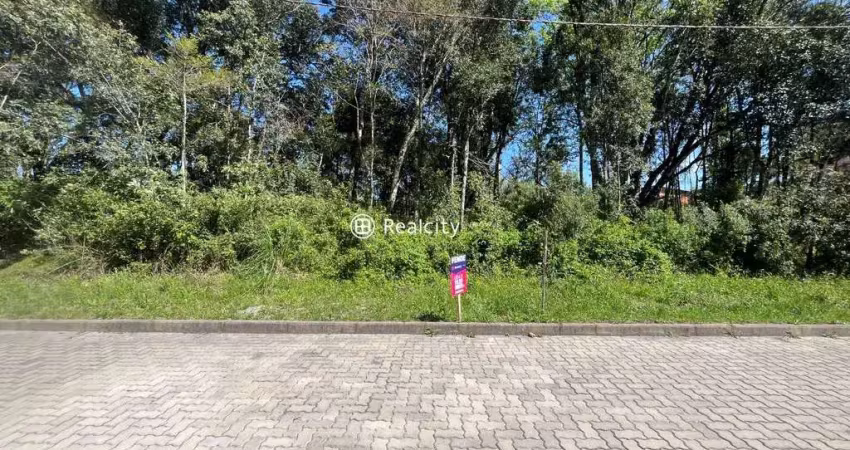 Terreno à venda na Bruno Bottega, 41, Santo Antão, Bento Gonçalves