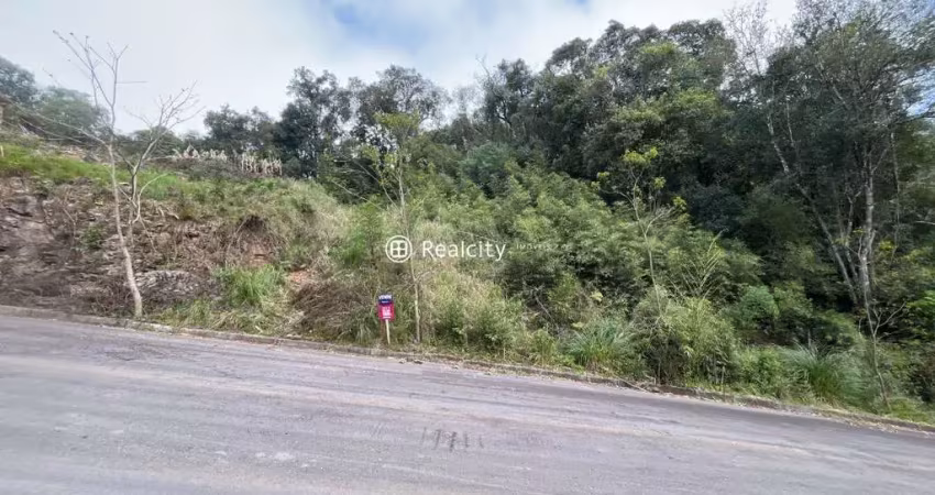 Terreno à venda na Rua Clemente Dal Mas, 27, Santo Antão, Bento Gonçalves