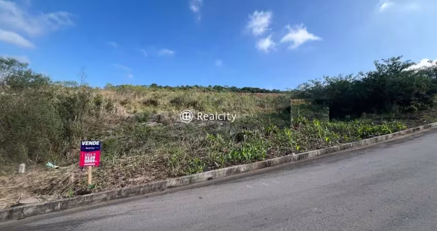 Terreno à venda na ERS-444, 20, Barracão, Bento Gonçalves