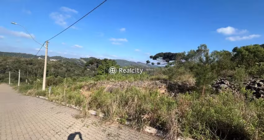 Terreno à venda na Domênico Marini, 388, Barracão, Bento Gonçalves
