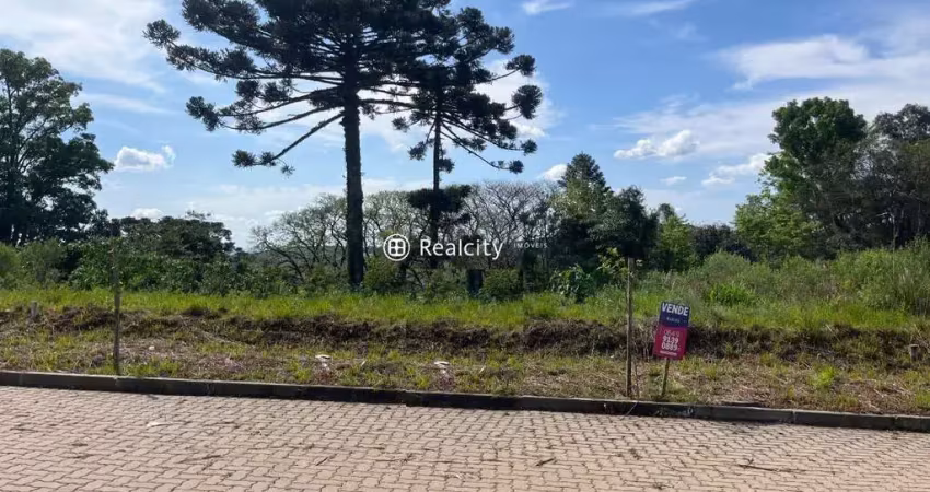 Terreno à venda na Paulina, 7, Faria Lemos (Distrito), Bento Gonçalves