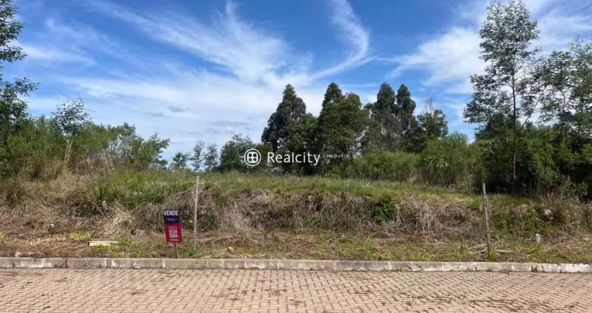 Terreno à venda na Paulina, 7, Faria Lemos (Distrito), Bento Gonçalves