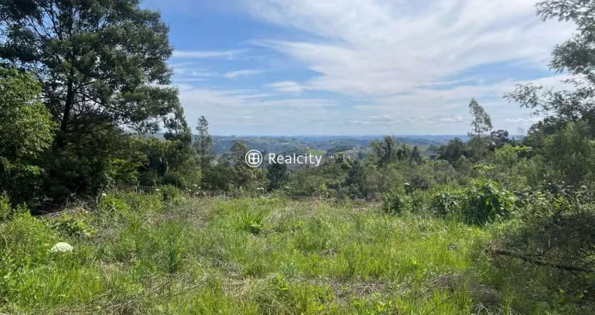 Terreno à venda na Paulina, 7, Faria Lemos (Distrito), Bento Gonçalves