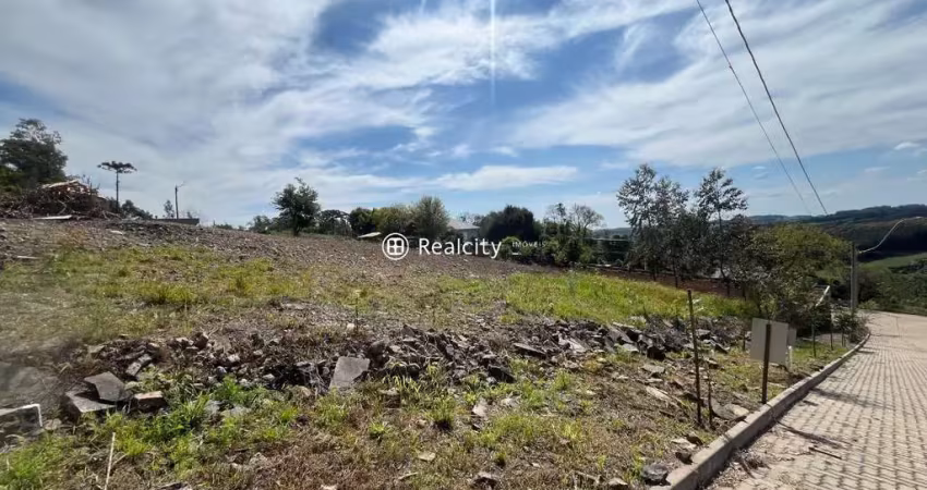 Terreno à venda na Paulina, 7, Faria Lemos (Distrito), Bento Gonçalves
