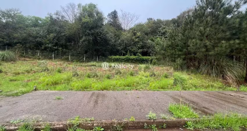 Terreno à venda na Rua Arcido Garbim, 1, Fátima, Bento Gonçalves