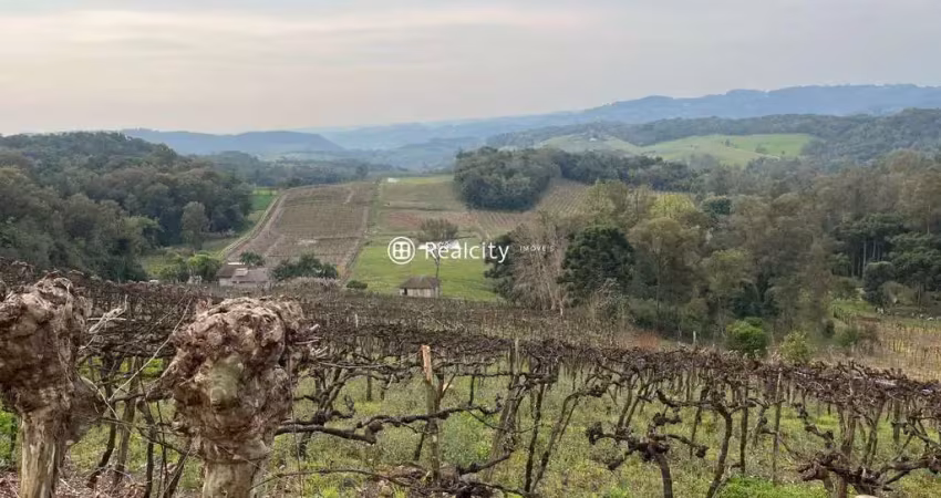 Terreno à venda na Estrada do Sabor, 1, Vale dos Vinhedos (Distrito), Bento Gonçalves
