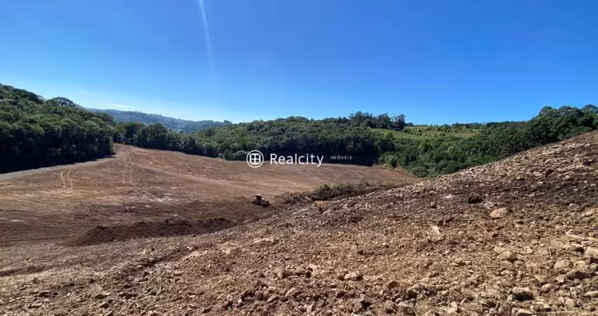 Terreno comercial à venda na Rs-453, Km 18 - Linha Rio Burati, 3, Nova Sardenha (Distrito), Farroupilha