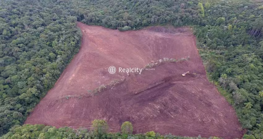 Terreno comercial à venda na Rs-453, Km 18 - Linha Rio Burati, 2, Nova Sardenha (Distrito), Farroupilha