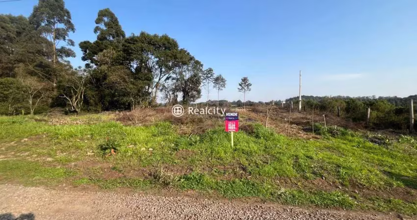 Terreno à venda na Rs-453, Km 18 - Linha Rio Burati, 6, Nova Sardenha (Distrito), Farroupilha