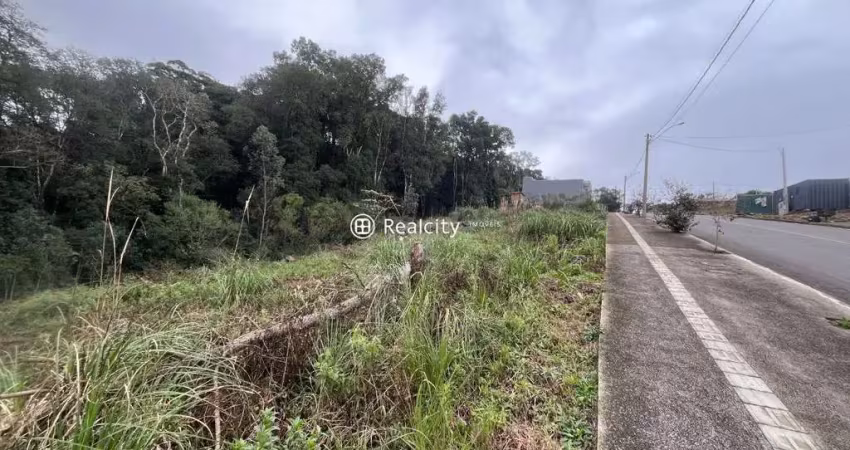 Terreno à venda na Bramante Mion, 800, Universitário, Bento Gonçalves