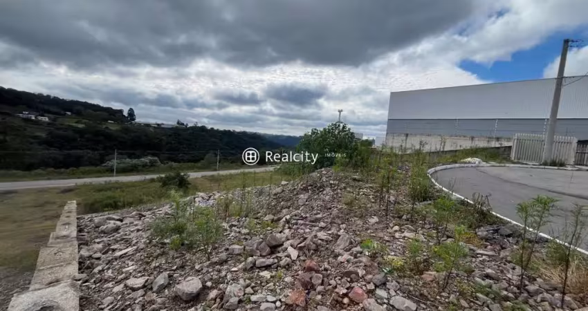 Terreno à venda na Carlos Dreher Neto, 1, Salgado, Bento Gonçalves